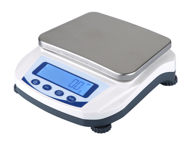 Precision Balance 0.1g